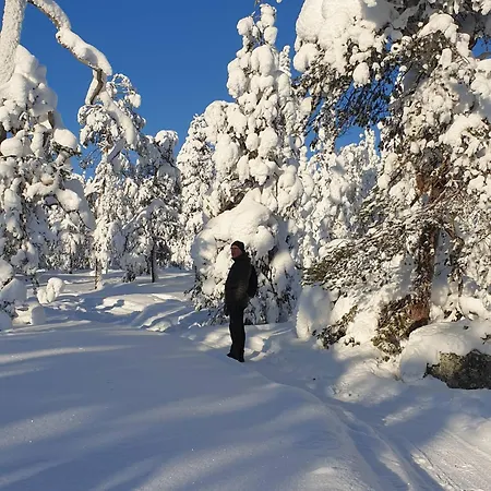 Peaceful In * Rovaniemi